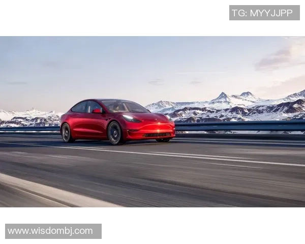 特斯拉足球球星的崛起与挑战：从天才少年到世界级球员的传奇之路